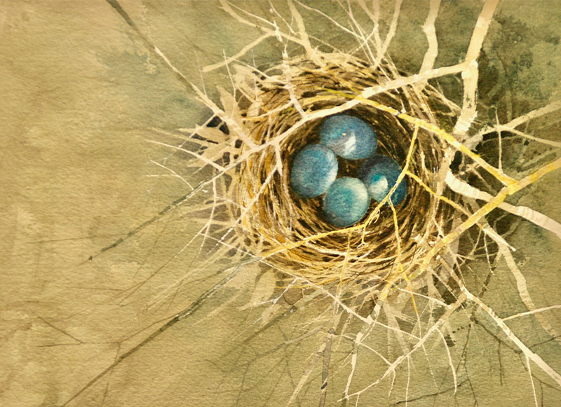 David-Greaves - Robin Egg Blue - Watercolour - 9 x 12 in Image of David Greaves' watercolour painting, Robin Egg Blue.